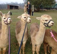 Bunyip Springs Farmstay - Tourism Caloundra