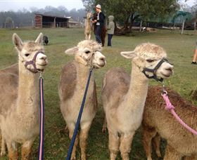 Bunyip Springs Farmstay - Tourism Caloundra 0