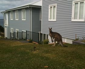 Hyams Beach Bed And Breakfast - Tourism Caloundra 6