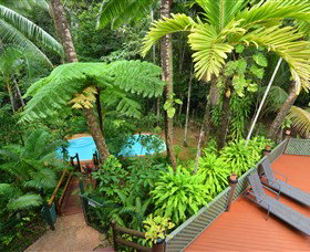 Wait A While Daintree - Tourism Caloundra 1