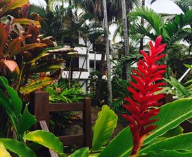 Club Tropical Resort Port Douglas - Tourism Caloundra 2