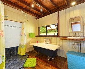 Tea Tree Daintree - Tourism Caloundra 2
