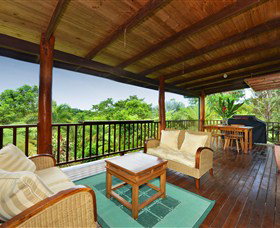 Tea Tree Daintree - Tourism Caloundra 3