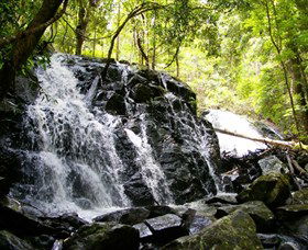 Bellthorpe Stays - Nature's Retreat - Tourism Caloundra 1