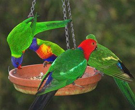 Bellthorpe Stays - Nature's Retreat - Tourism Caloundra 3