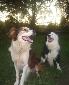 Brockhurst Farm Accommodation / Wedding Venue - Tourism Caloundra 1