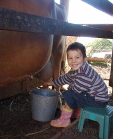 Brockhurst Farm Accommodation / Wedding Venue - Tourism Caloundra 2