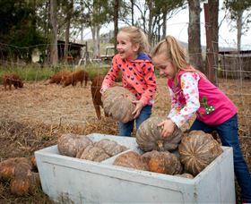 Tommerups Dairy Farmstay - Tourism Caloundra 1