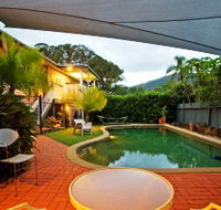 The Odd Gecko - Tourism Caloundra