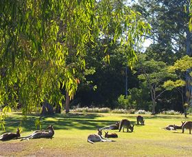 Bellmere On Richards - Tourism Caloundra 2
