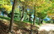 Huntington Cottage - thumb 7