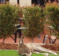 Alpha Canberra Hotel and Apartments - Tourism Caloundra