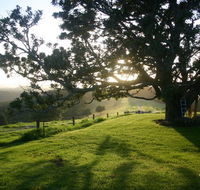 Kilfeacle Farm Cottage - Tourism Caloundra