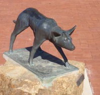 The Ardlethan Kelpie Caravan Park - Tourism Caloundra
