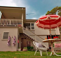 Starfish - Tourism Caloundra