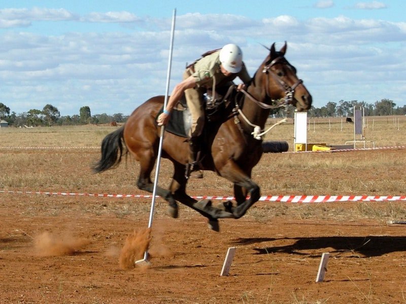 Tullamore NSW Tourism Caloundra