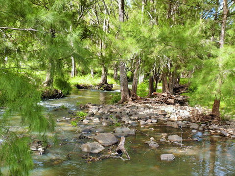Cockadilly Escape - Tourism Caloundra 0