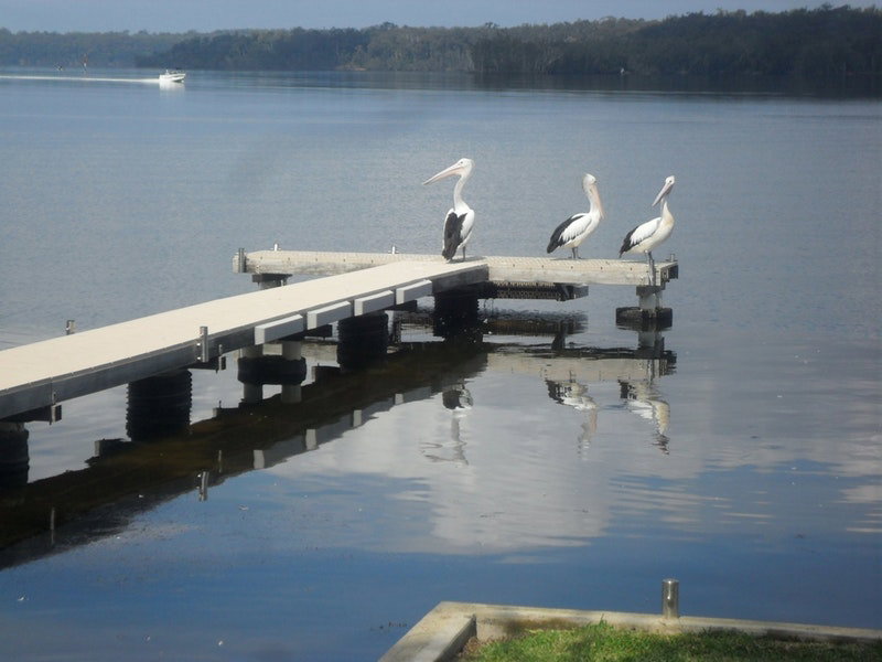 Basin View NSW Tourism Caloundra