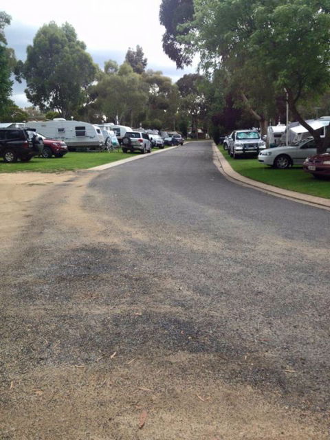 Young Caravan Tourist Park - Tourism Caloundra 3