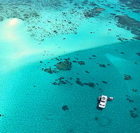 Ocean Free and Ocean Freedom - Cairns Premier Reef and Island Tours - Tourism Caloundra