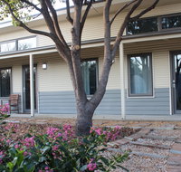 The Grape and Olive in Willunga - Tourism Caloundra