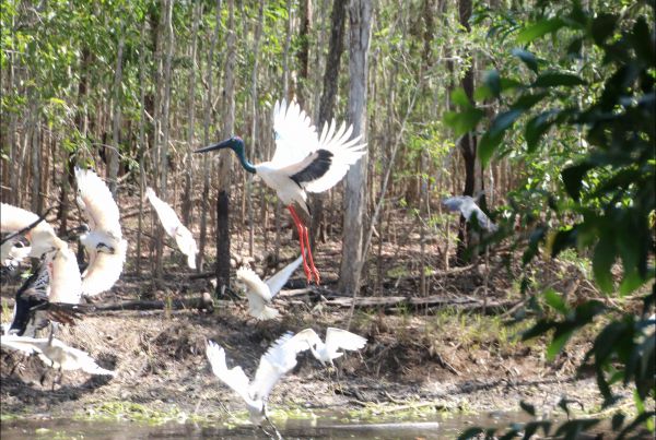 Humpty Doo NT Tourism Caloundra