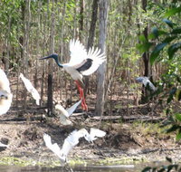 Rakhi Retreat - Tourism Caloundra