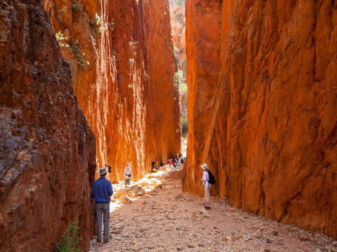 Standley Chasm Angkerle Camping - Tourism Caloundra 4