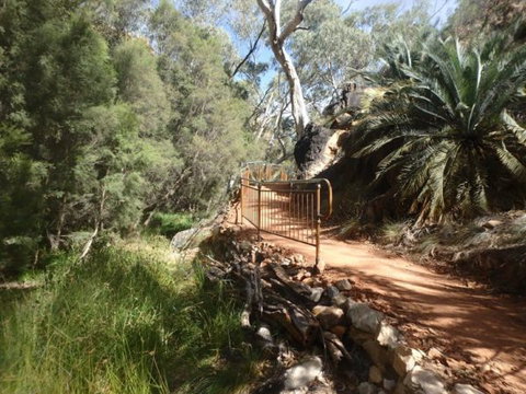 Standley Chasm Angkerle Camping - Tourism Caloundra 7