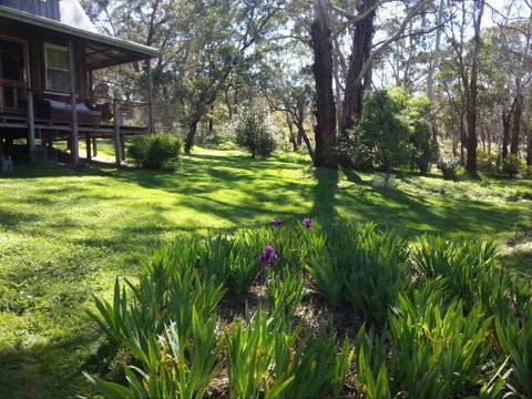Mount Cole Cottages - Tourism Caloundra 8