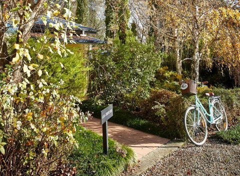 Pizzini's Vineyard Guesthouse - Tourism Caloundra 5