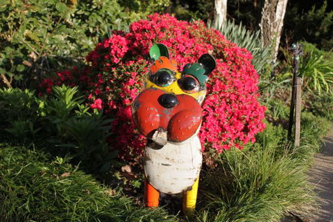 Pizzini's Vineyard Guesthouse - Tourism Caloundra 7