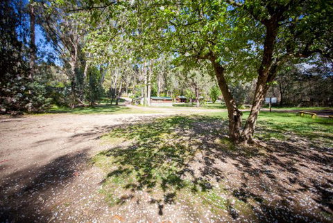 Beechworth Holiday Park - Tourism Caloundra 3