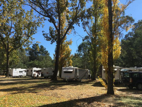 Beechworth Holiday Park - Tourism Caloundra 5