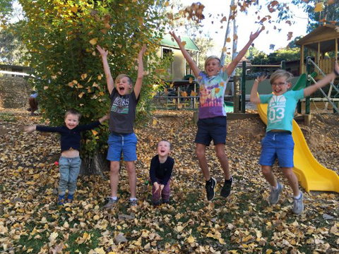 Beechworth Holiday Park - Tourism Caloundra 8