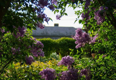 Eurambeen Historic Homestead And Gardens - Tourism Caloundra 1