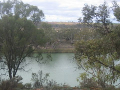 Gilgens Country River Retreat - Tourism Caloundra 3