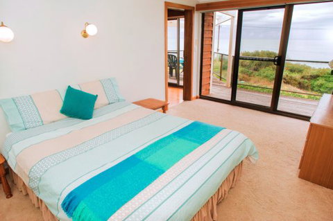 Norfolks - Tourism Caloundra 4