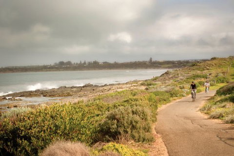 Norfolks - Tourism Caloundra 5