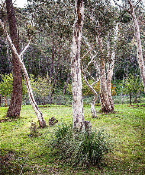 Fifth Ave Katoomba Retreat - Tourism Caloundra 2