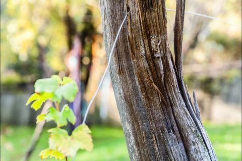 Fifth Ave Katoomba Retreat - Tourism Caloundra 3