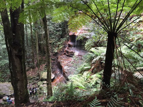 Fifth Ave Katoomba Retreat - Tourism Caloundra 9