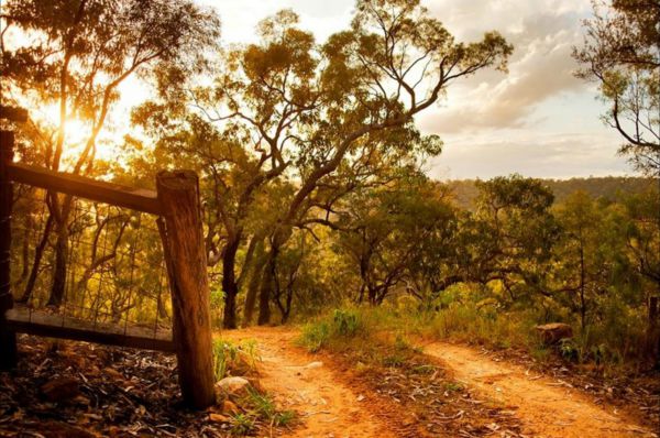 Blaxlands Ridge NSW Tourism Caloundra