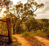 Kurrajong Trails and Cottages - Tourism Caloundra