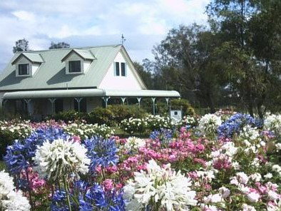 Emmas Cottage Vineyard - Tourism Caloundra 0