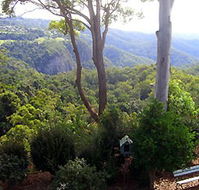Mt Tamborine Motel - Tourism Caloundra