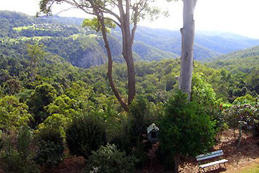 Mt Tamborine Motel - Tourism Caloundra 0