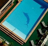 Pacific International Hotel - Tourism Caloundra