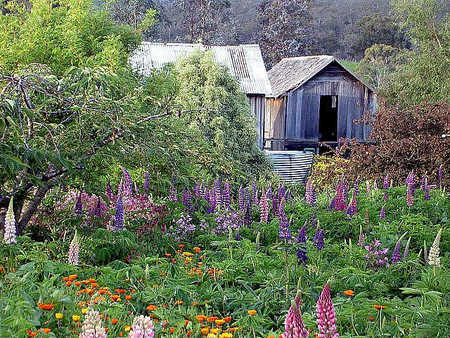 Hamlet Downs Country Accommodation - Tourism Caloundra 2