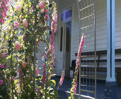 Devonport Bed And Breakfast - Tourism Caloundra
